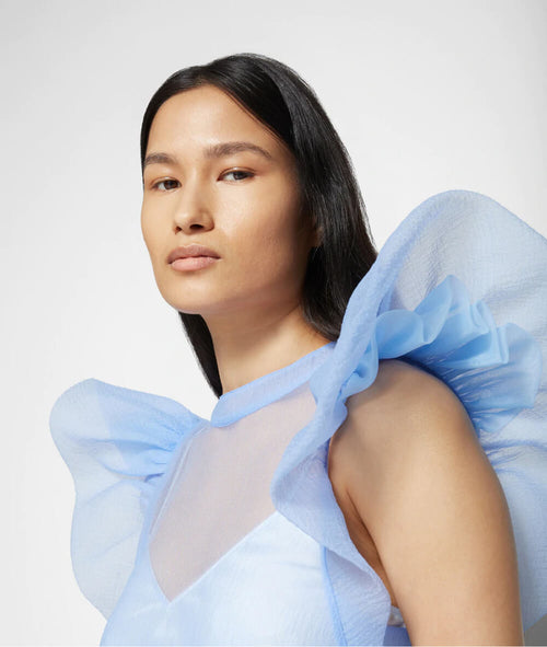 BLUE DRESS NEW